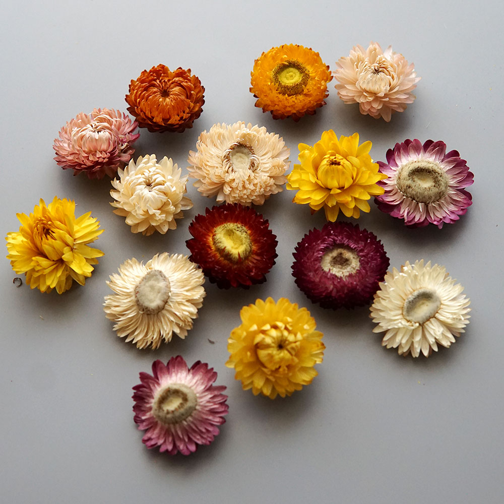 天然のドライでカラフルな菊の花輪,手作りのヘアアクセサリー, - Candle Making Process のレビューと価格
