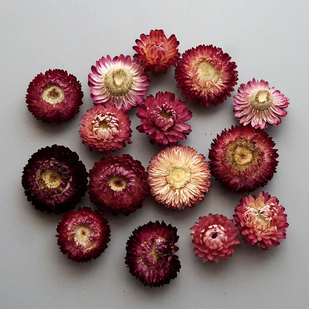 天然のドライでカラフルな菊の花輪,手作りのヘアアクセサリー, - Candle Making Process のレビューと価格