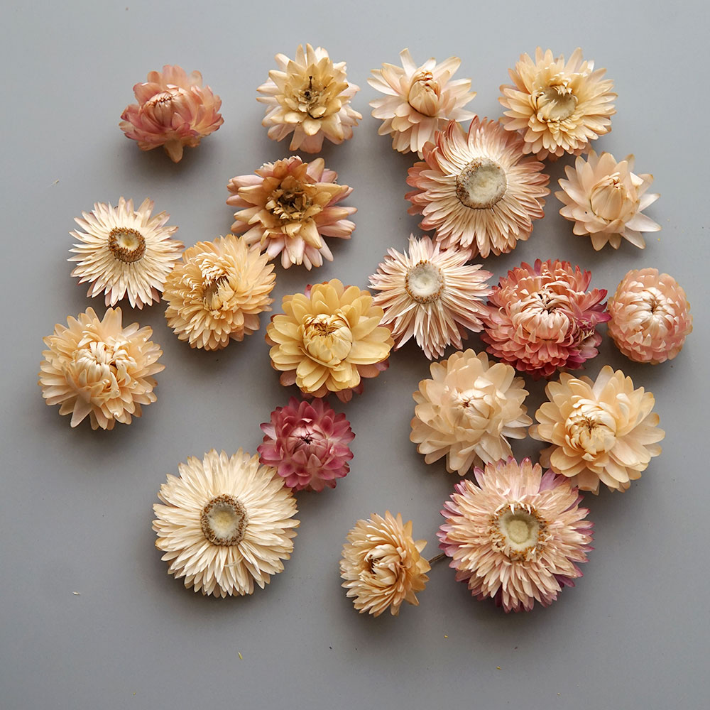 天然のドライでカラフルな菊の花輪,手作りのヘアアクセサリー, - Candle Making Process のレビューと価格