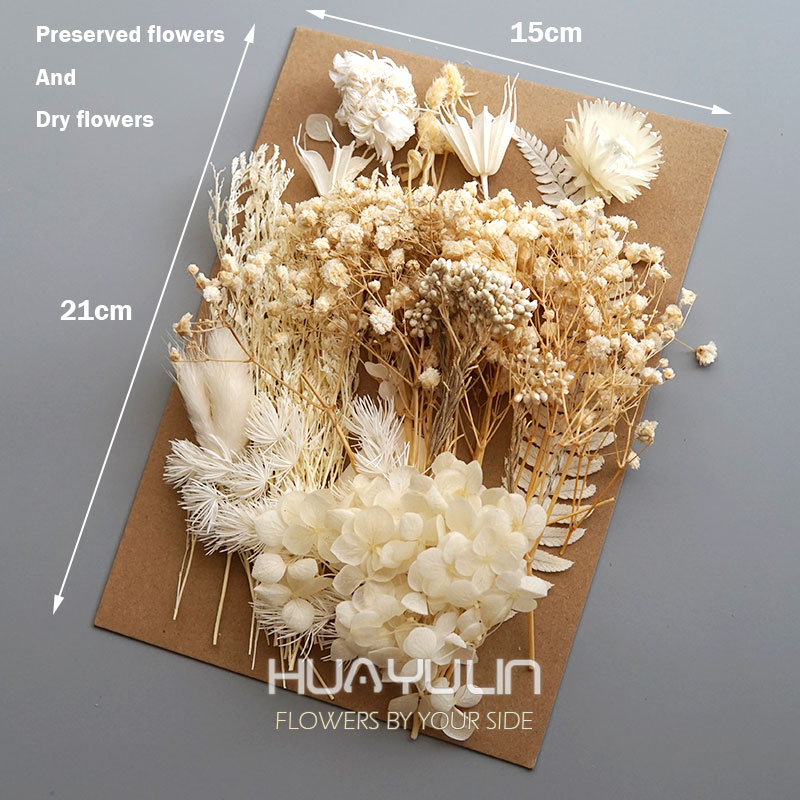 1 パック人工植物ドライ本物の花プリザーブド材料エポキシ樹脂 - Candle Making Process のレビューと価格